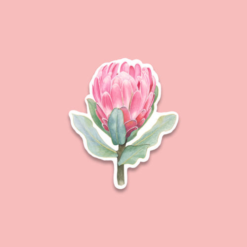 Protea Flower Die Cut Vinyl Sticker