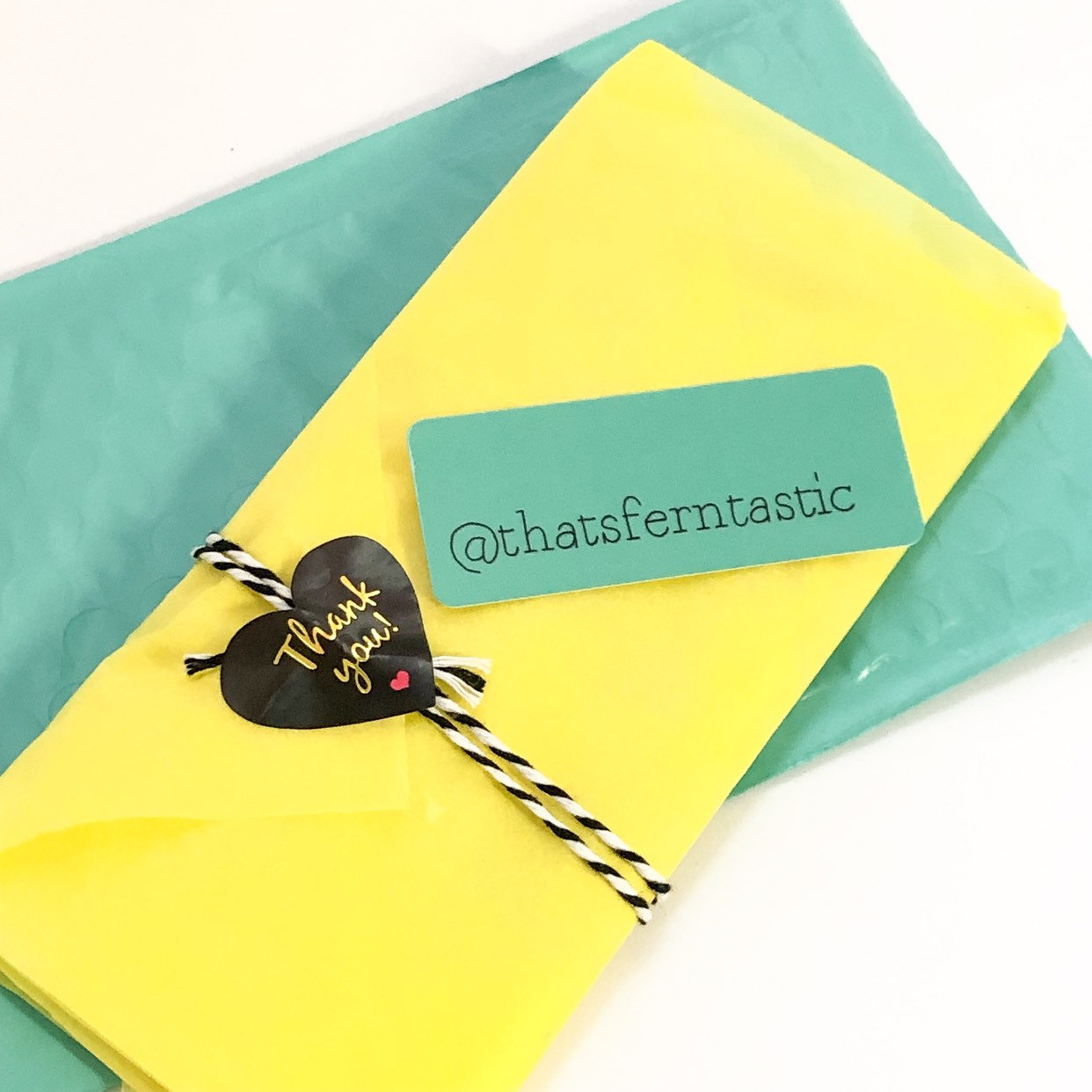 Pastel Pusheen Cat Mini Pouch