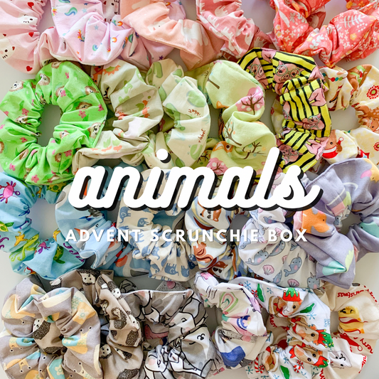 Animal Theme Scrunchie Advent Box