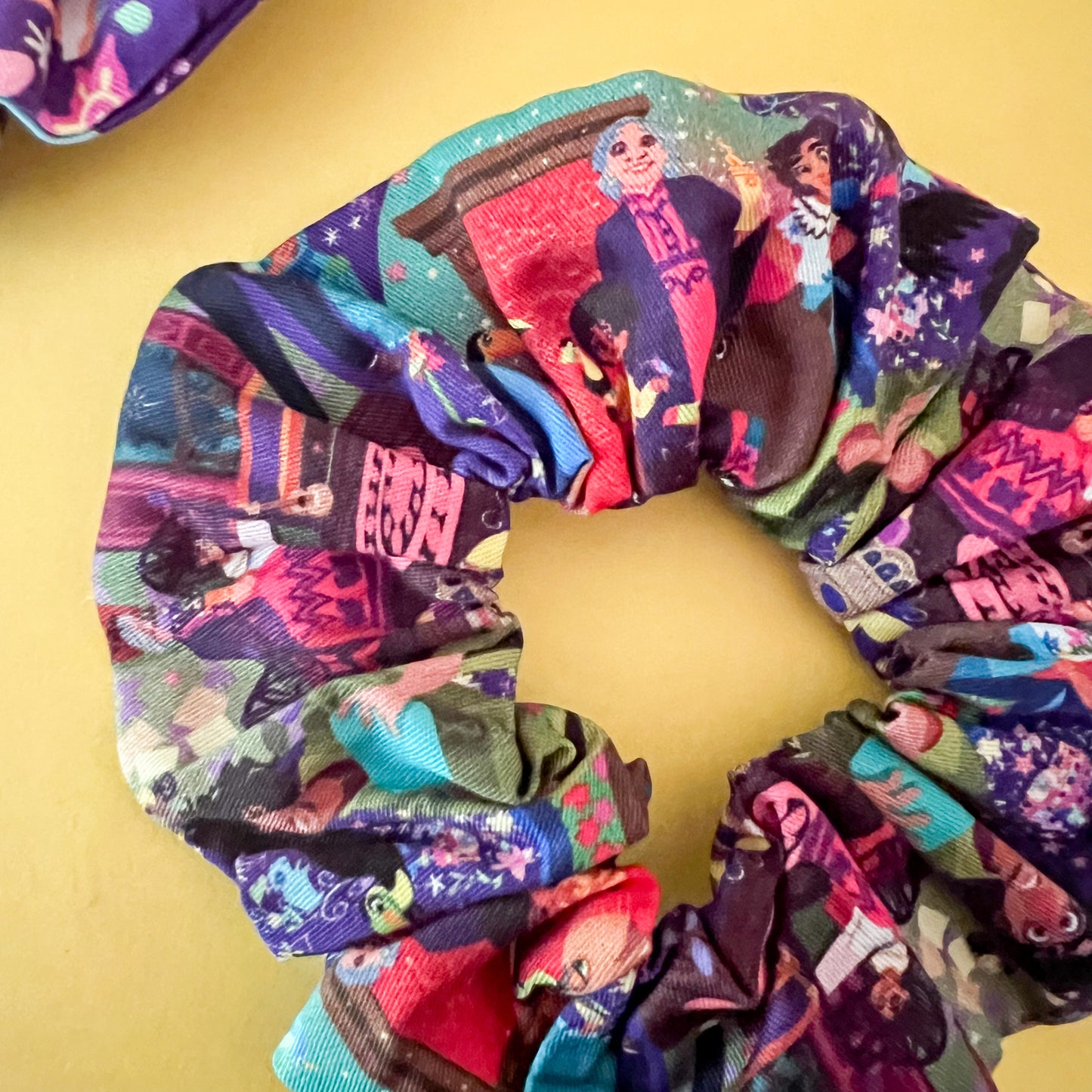 Encanto Scrunchie Set